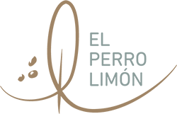 Escuela El Perro Limón